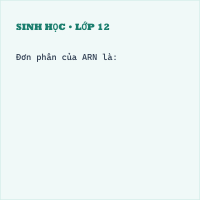 Bộ đề thi Học kì 1 Sinh học 9 có đáp án(Đề 21)