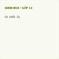 Trắc nghiệm Sinh Học Bài 14 (có đáp án): Enzim và vai trò của enzim trong quá trình chuyển hóa