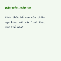 Trắc nghiệm Động vật "bế" con thế nào có đáp án