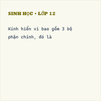 Trắc nghiệm Sinh Học Bài 5: Kính lúp, kính hiển vi và cách sử dụng