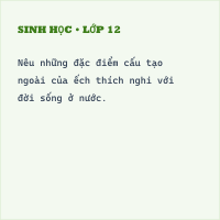 Đề thi giữa kì 2 Sinh học 7 có đáp án (Đề 1)
