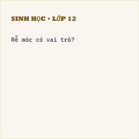Trắc nghiệm Sinh Học Bài 12:Sự biến dạng của rễ