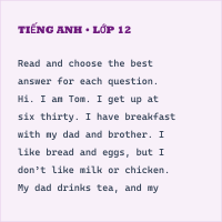 Trắc nghiệm Tiếng Anh 4 Unit 2: Time and daily routines - Reading & Writing - có đáp án