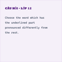 Ngữ âm: Các âm /Z/ , / S/ và / ꞮZ/