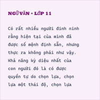 Bộ đề thi giữa kì Ngữ Văn lớp 11 có đáp án - Đề 14