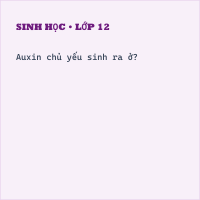 Trắc nghiệm Sinh Học Bài 35 (có đáp án): Hoocmon ở thực vật (Phần 1)