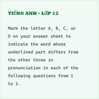 Đề thi giữa học kì 2 môn Tiếng Anh lớp 12 có đáp án - Đề số 31