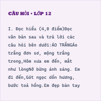 Bộ đề thi giữa kì Ngữ văn 11 cấu trúc mới có đáp án - Đề 6