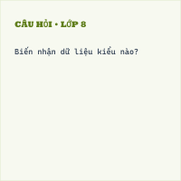 Đề thi giữa kì 2 môn Tin học lớp 8 có đáp án (Đề 4)