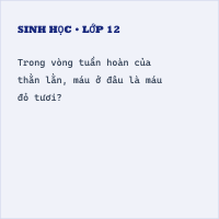 Trắc nghiệm Sinh Học Bài 39: (có đáp án) Cấu tạo trong của thằn lằn (phần 2)