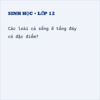 Trắc nghiệm Sinh học Bài 34 (có đáp án): Đa dạng và đặc điểm chung của các lớp cá