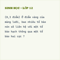 Đề thi giữa kì 2 Sinh học 8 có đáp án (Trắc nghiệm 4)