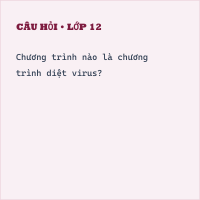 Đề kiểm tra 15 phút Tin học 9 Học kì 1 có đáp án (Bài số 2 - Đề 2) - Thumbnail