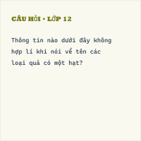 Bài tập Xét tính hợp lí của dữ liệu (có lời giải)