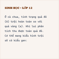 Trắc nghiệm Sinh 9 (có đáp án): Phép lai phân tích (P2)