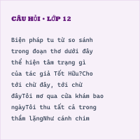 Trắc nghiệm Nhớ đồng có đáp án - Thumbnail