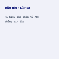 Hỏi Trắc nghiệm ARN có đáp án
