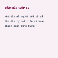 Bộ Đề kiểm tra 1 tiết Chương 1: Việt Nam thời nguyên thủy đến thế kỉ X (Đề số 2)