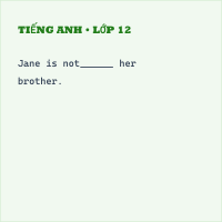 Trắc nghiệm Tiếng Anh 9 có đáp án - Phần 13