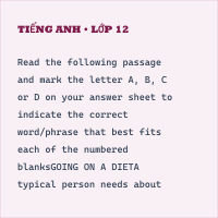 Tổng hợp đề thi Tiếng Anh có lời giải (Đề số 25)