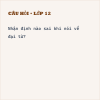 Trắc nghiệm Đại từ có đáp án
