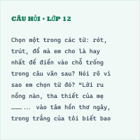 Bộ đề thi Tiếng Việt ôn vào 6 năm 2023 - 2024 có đáp án (Đề 17)