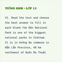 Bộ đề thi giữa kì 2 Tiếng Anh 10 có đáp án - Đề 7