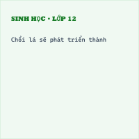 Trắc nghiệm Sinh Bài 13 (có đáp án) : Cấu tạo ngoài của thân