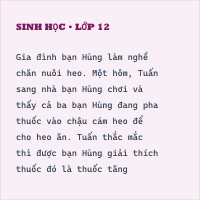 Bộ đề thi Học kì 1 Sinh học 9 có đáp án(Đề 13)