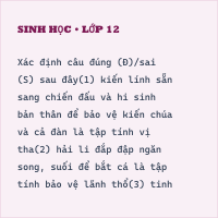 Trắc nghiệm Sinh Học Bài 32 (có đáp án): Tập tính ở động vật