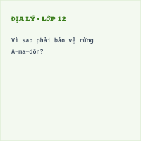 Trắc nghiệm Địa lý 7 Bài 18 có đáp án (Phần 2)