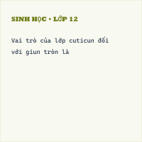 Trắc nghiệm Sinh Học Bài 14: (có đáp án) Một số giun tròn khác và đặc điểm chung của ngành (phần2)