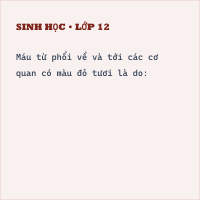 Bộ đề thi Học kì 1 Sinh học 8 có đáp án - Đề 3 - Thumbnail