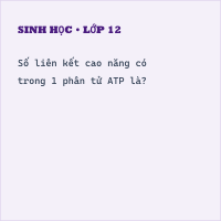 Trắc nghiệm Sinh Học Bài 13 (có đáp án): Khái quát về năng lượng và năng lượng và chuyển hóa