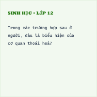 Trắc nghiệm Sinh học bài 34 (có đáp án): Sự phát sinh loài người