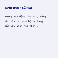 Trắc nghiệm Sinh Học Bài 56: (có đáp án) Cây phát sinh giới động vật (phần 2)