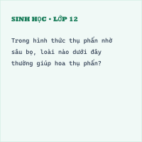 Đề kiểm tra 15 phút Sinh học 6 (Đề 1)
