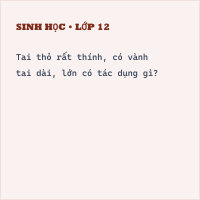Trắc nghiệm Sinh học Bài 46 (có đáp án): Thỏ