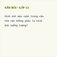 Trắc nghiệm: Miêu tả và biểu cảm trong văn tự sự có đáp án