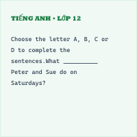 Trắc nghiệm Tiếng Anh 5 Unit 4: Our free-time activities-Vocabulary & Grammar- có đáp án - Thumbnail