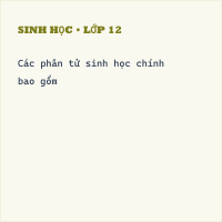 Đề kiểm tra Giữa học kì 1 Sinh 10 có đáp án - Đề 1 - Thumbnail