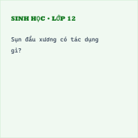 Trắc nghiệm Sinh Bài 8: (có đáp án) Cấu tạo và tính chất của xương (phần 2)
