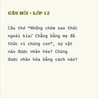 Trắc nghiệm Luyện tập về nhân hóa có đáp án