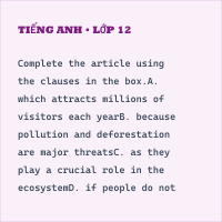 Đề thi giữa kì 2 Tiếng Anh 9 i-Learn Smart World có đáp án - Đề 3