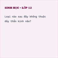 Trắc nghiệm Sinh học Bài 46 (có đáp án): Trụ não, tiểu não, não trung gian