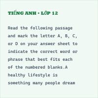 Đề thi chính thức vào 10 Tiếng Anh Sở GD&ĐT Tây Ninh năm 2025 có đáp án