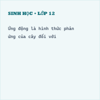 Đề kiểm tra cuối kì 1 Sinh học 11 KNTT có đáp án (Đề 1)