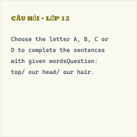 Bài tập Trắc nghiệm Unit 9 Writing có đáp án