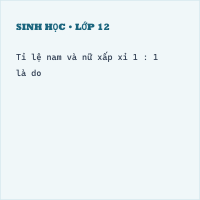 Trắc nghiệm Sinh Bài 12 (có đáp án): Cơ chế xác định giới tính