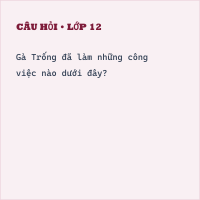 Trắc nghiệm Xem - kể Bông lúa có đáp án